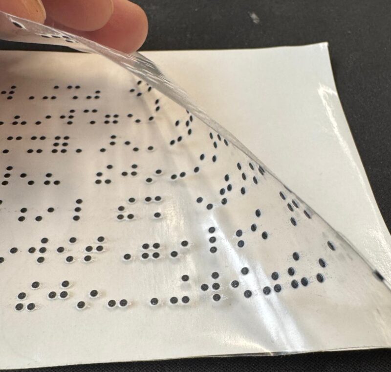 Escritura en Braille: 200 años desde el acceso a la lectura de las personas ciegas